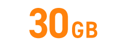 30GB